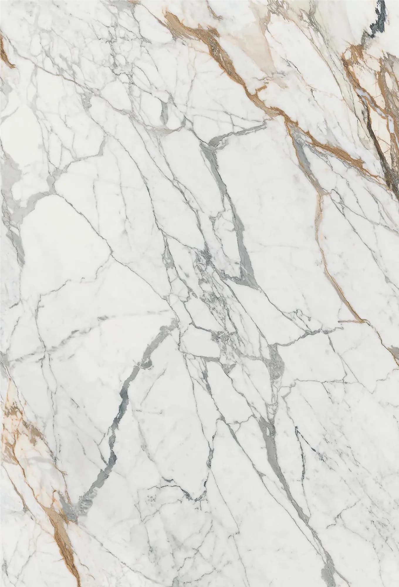 High Gloss, HG-1004A